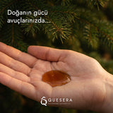 Avuçta katran şampuanı